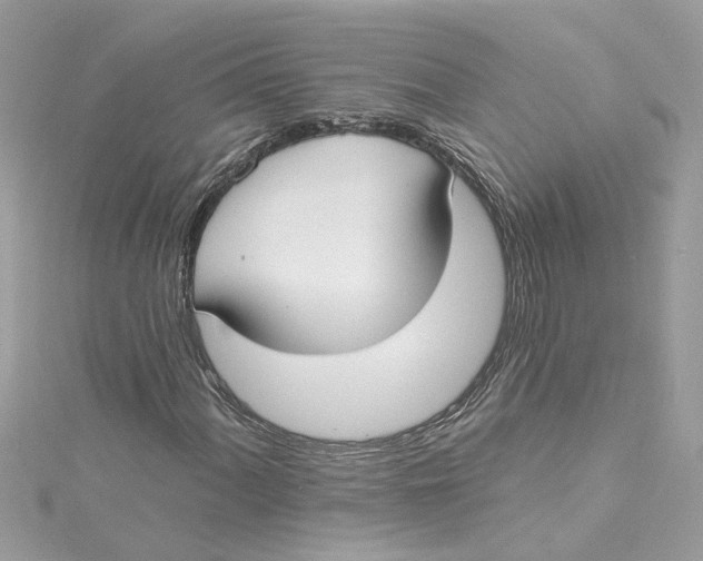 X0000115051060200911161543
