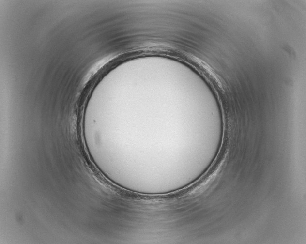 X0000115051066200911161543
