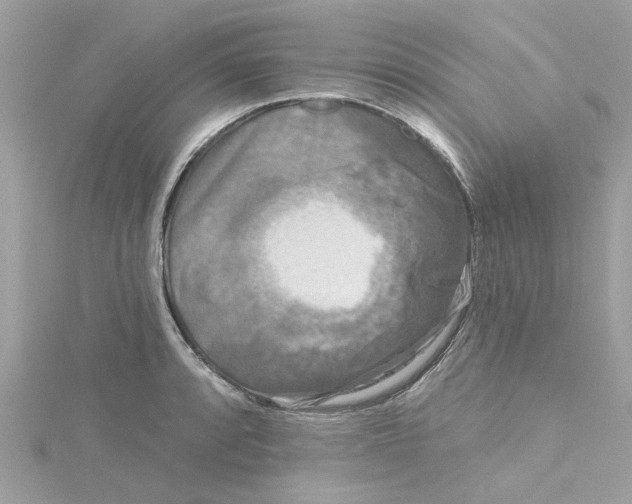 X0000115051088200911161543