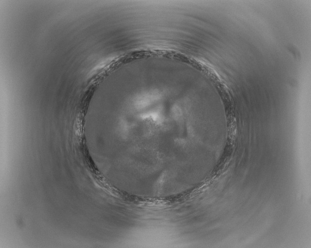 X0000115051110200911161542