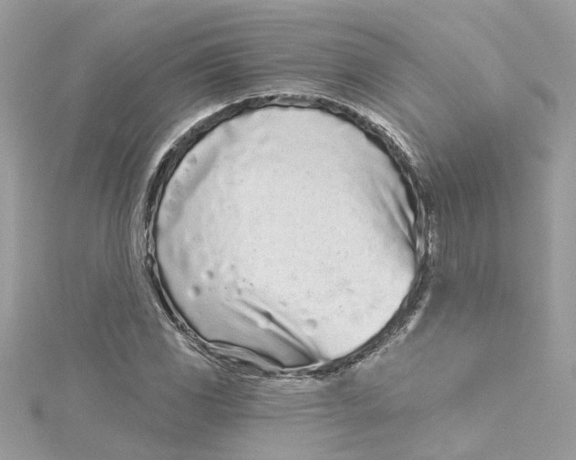 X0000115051117200911161542