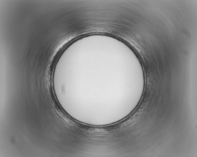 X0000115051119200911161542