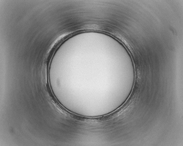 X0000115051123200911161542