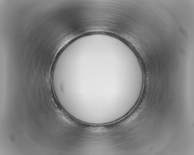 X0000115051129200911161542