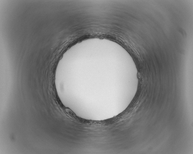 X0000115051153200911161542