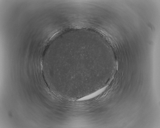 X0000115051155200911161542