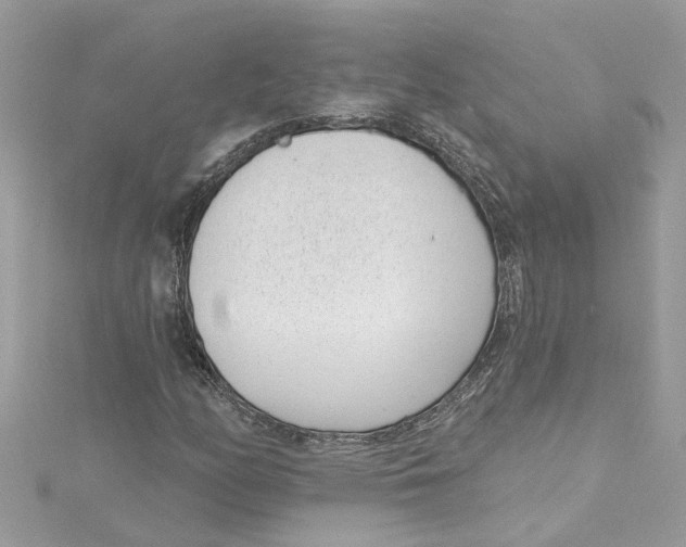 X0000115051158200911161542