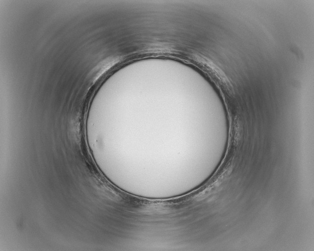 X0000115051162200911161542
