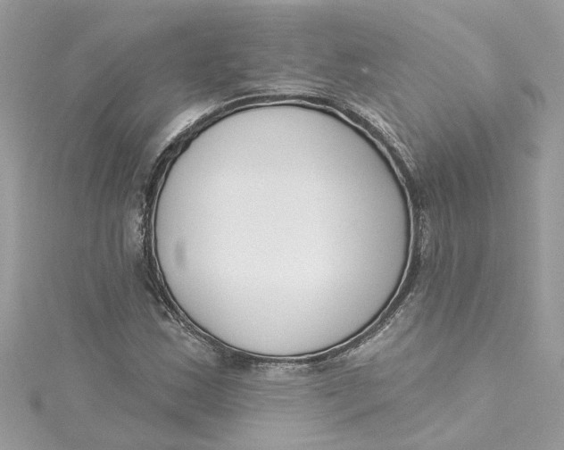X0000115051163200911161542