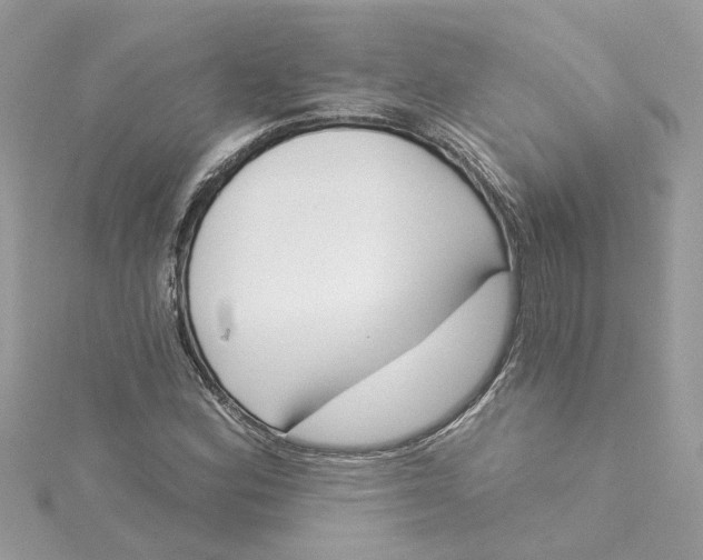X0000115051164200911161542