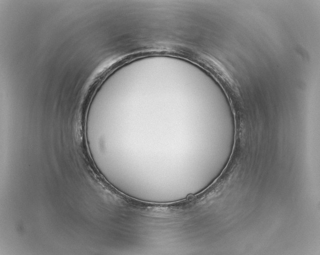 X0000115051172200911161542