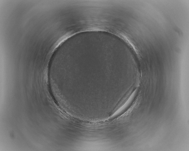 X0000115051173200911161542