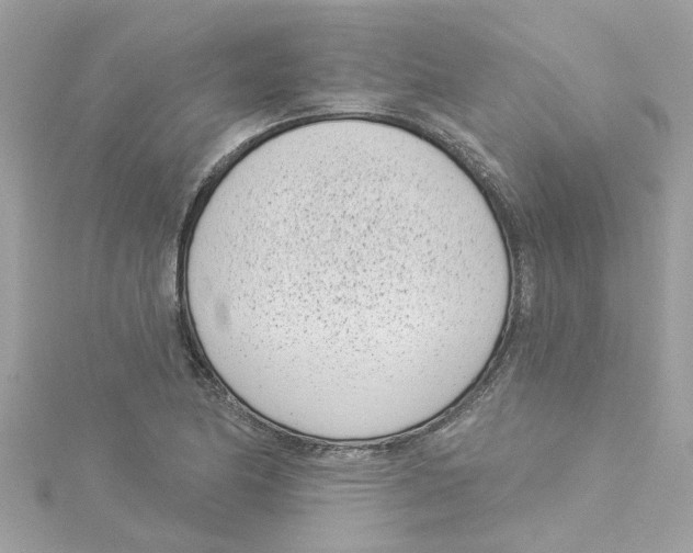 X0000115051174200911161542