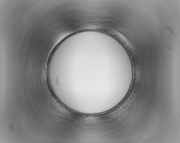 X0000115051178200911161542