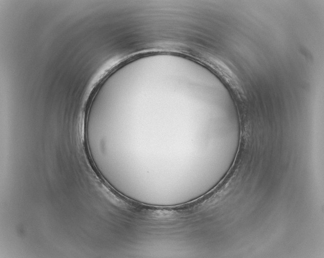 X0000115051180200911161542