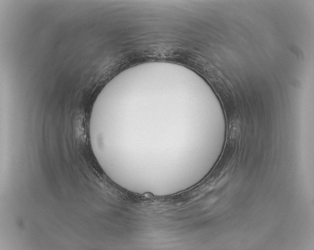 X0000115051202200911161541