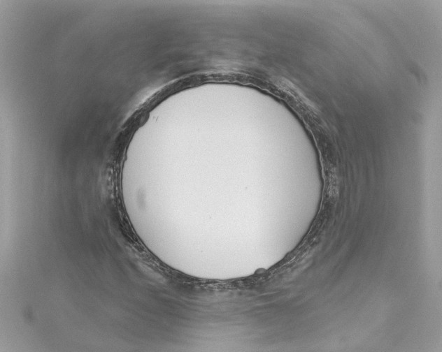 X0000115051208200911161541