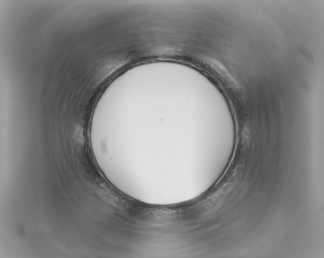 X0000115051209200911161541