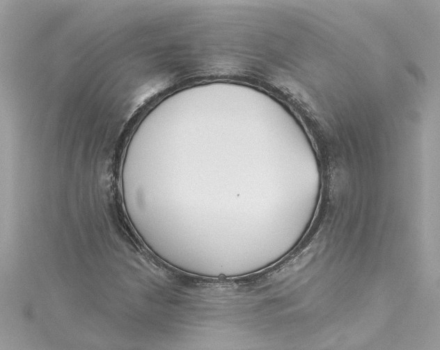 X0000115051210200911161541