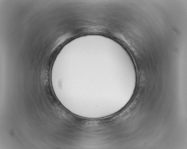 X0000115051211200911161541