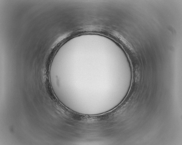 X0000115051213200911161541