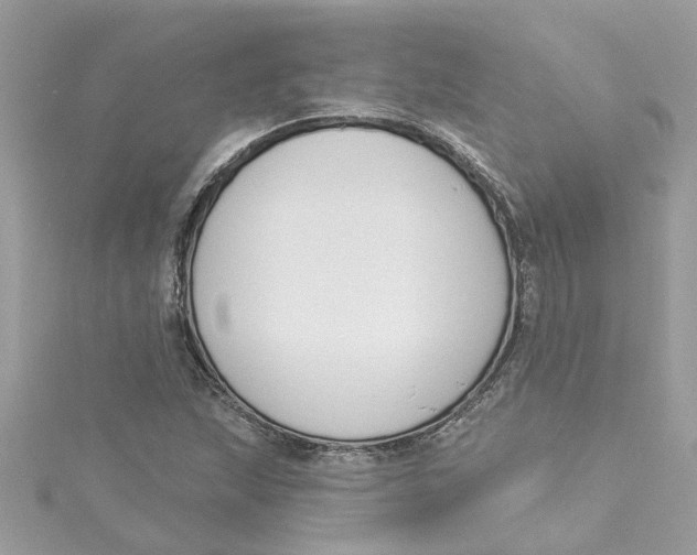 X0000115051215200911161541