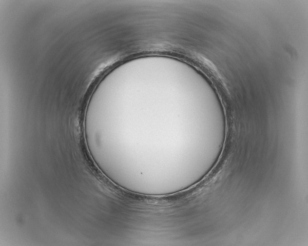 X0000115051218200911161541