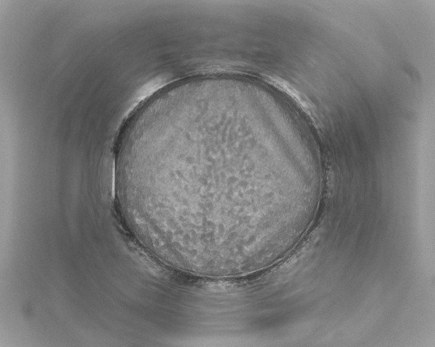 X0000115051219200911161541