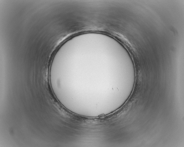 X0000115051220200911161541