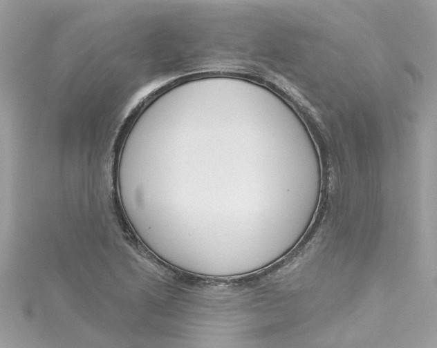 X0000115051222200911161541