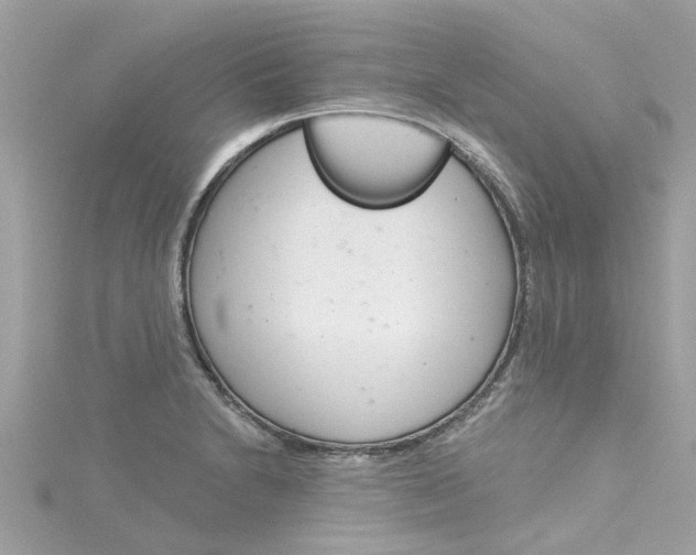 X0000115051230200911161541