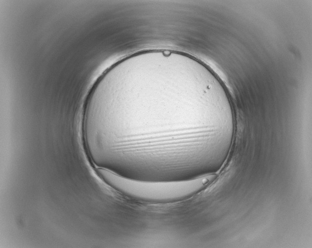 X0000115051245200911161541