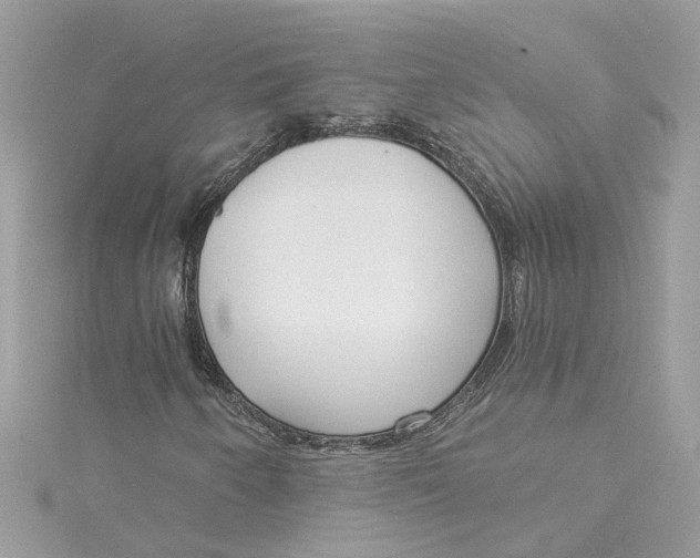 X0000115051250200911161541