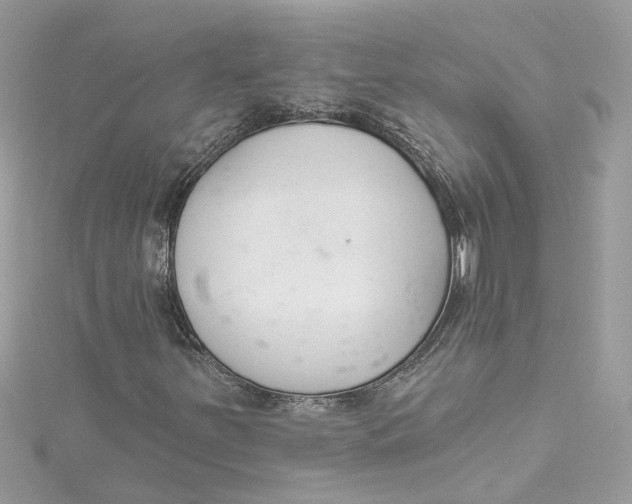 X0000115051251200911161541