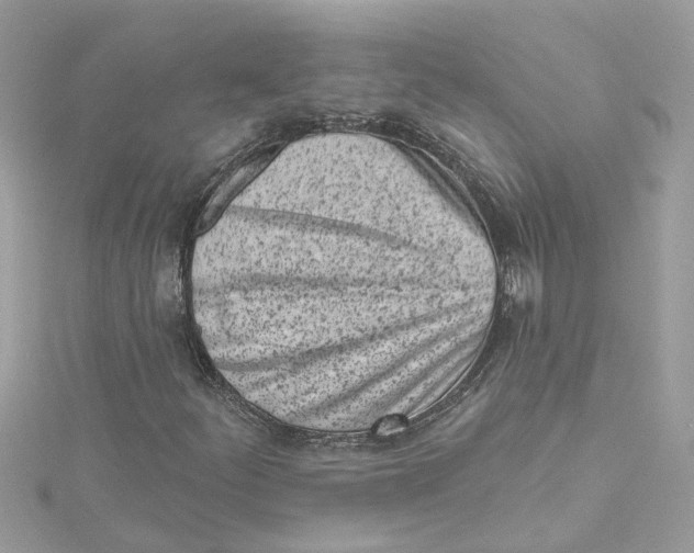 X0000115051252200911161541