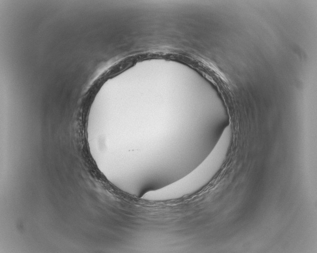 X0000115051256200911161541