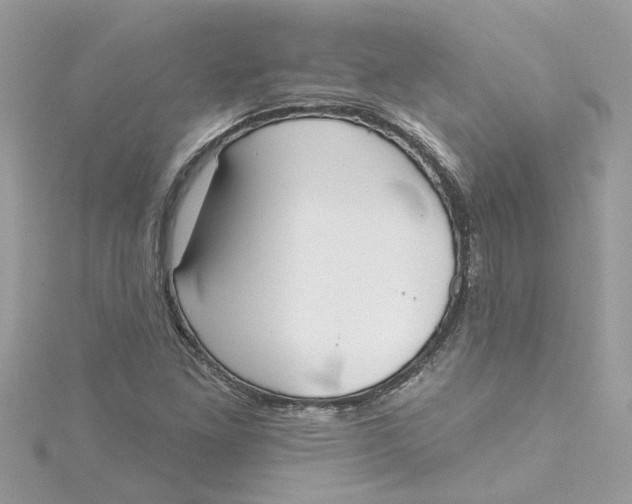 X0000115051261200911161541