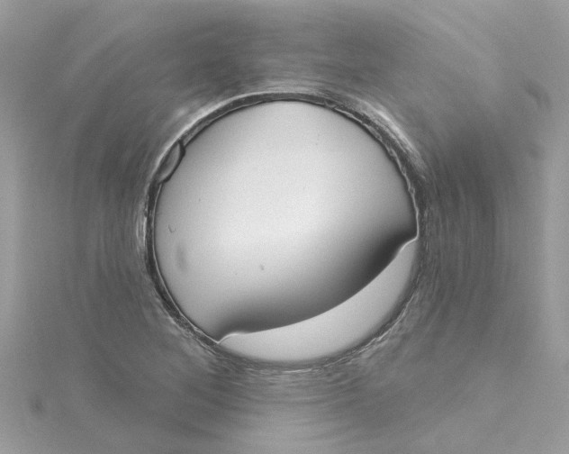 X0000115051268200911161540