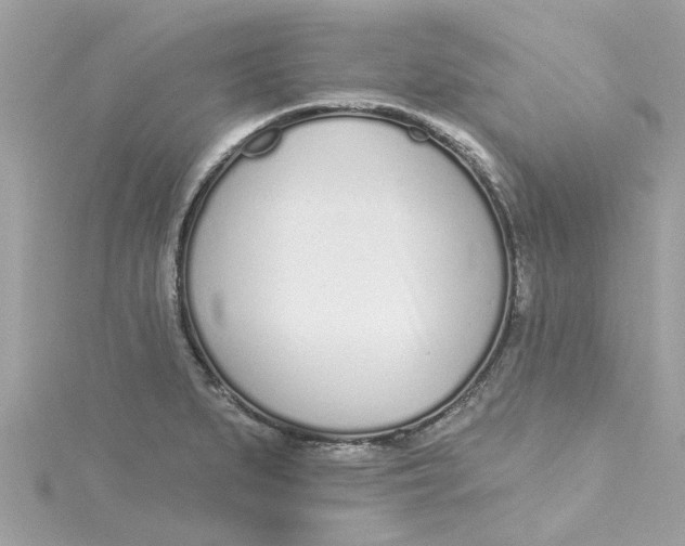 X0000115051279200911161540