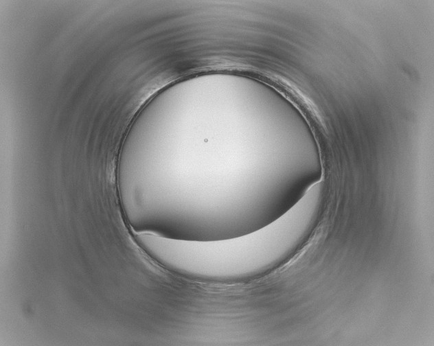 X0000115051281200911161540