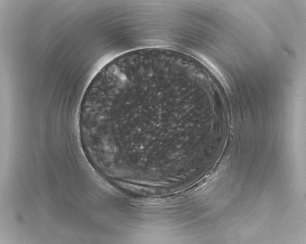 X0000115051291200911161540