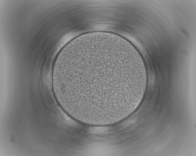 X0000115051294200911161540