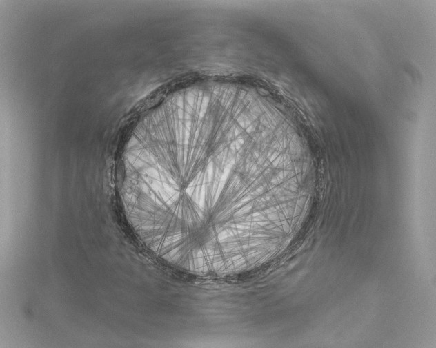 X0000115051301200911161540
