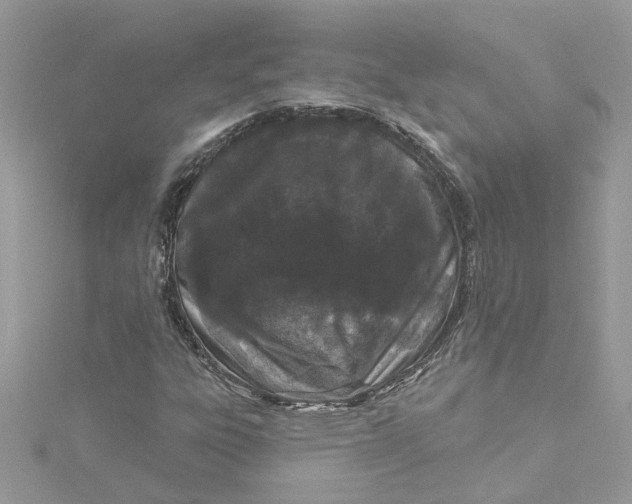 X0000115051303200911161540