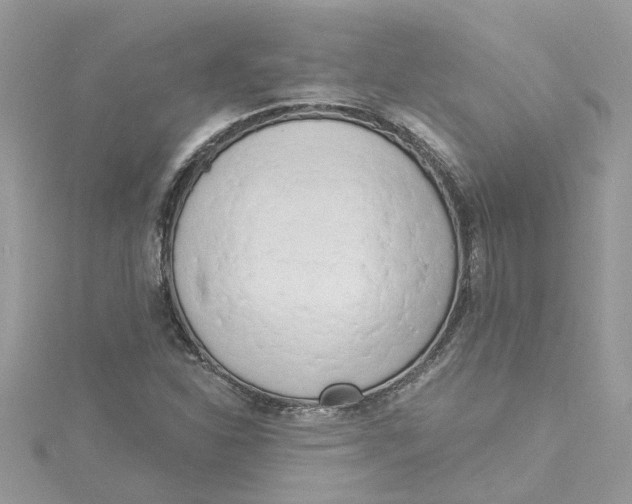 X0000115051310200911161540