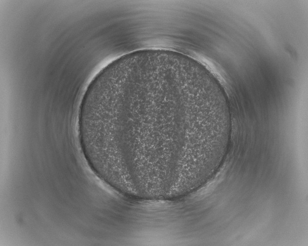 X0000115051331200911161540