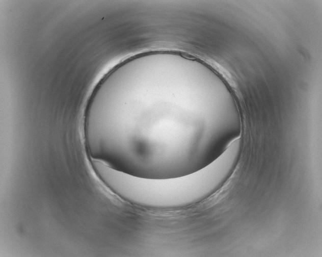 X0000115051342200911161540