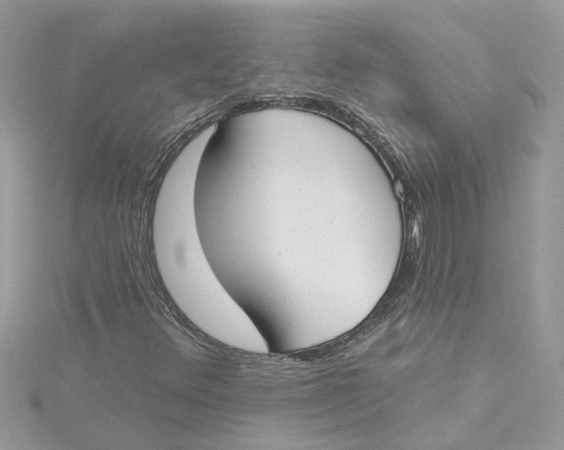 X0000115051348200911161539