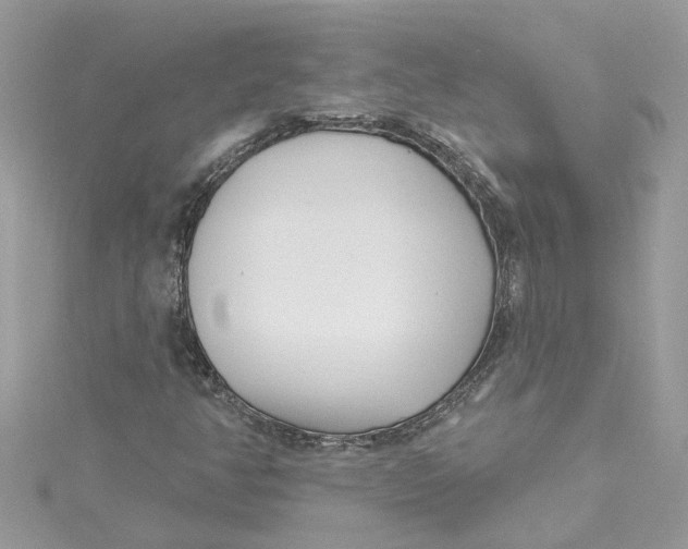X0000115051350200911161539