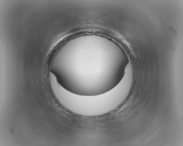 X0000115051352200911161539